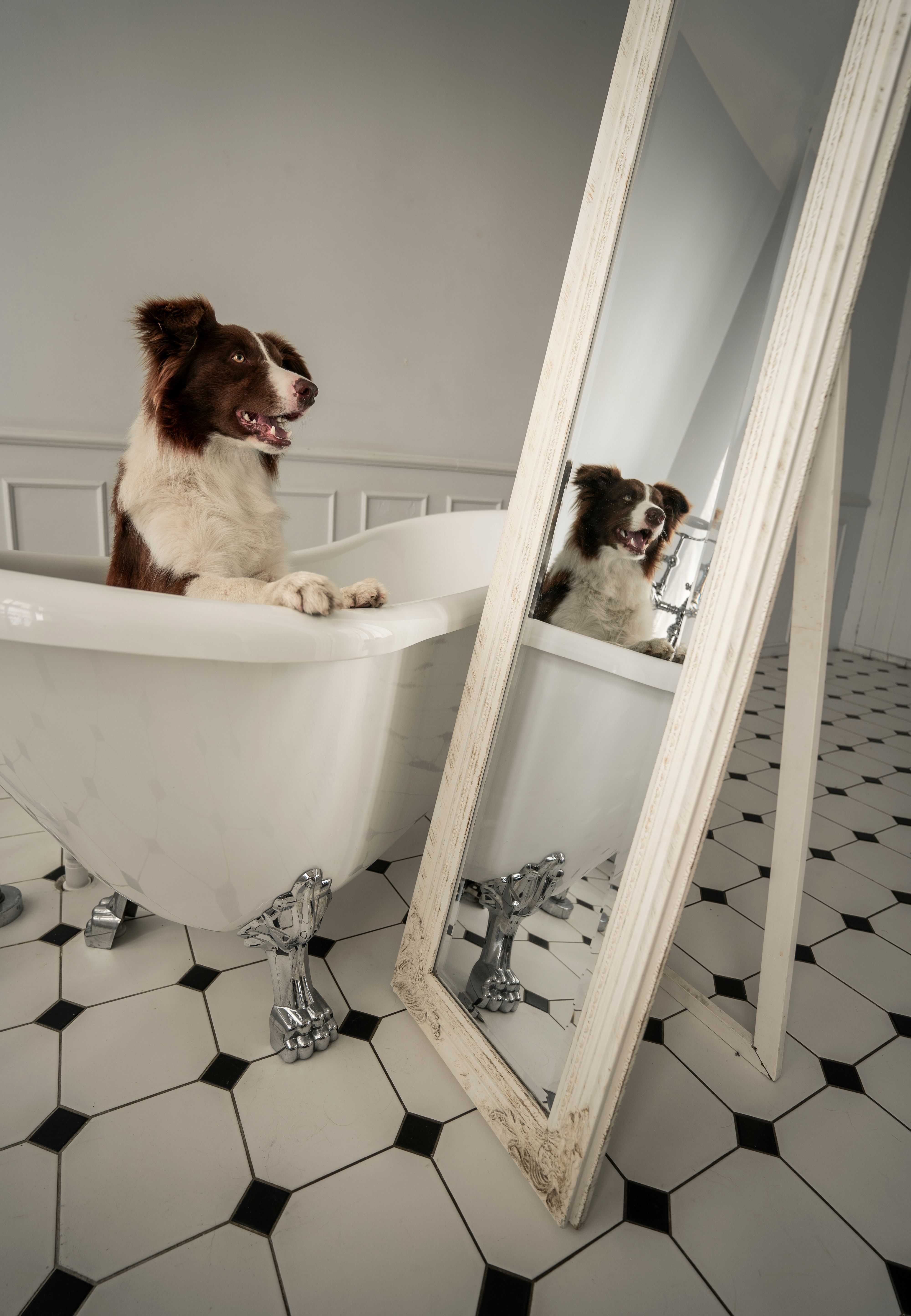 Bathing Available